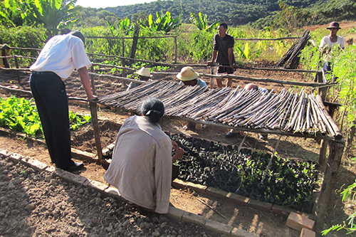 AGS Madagascar manager and Planète Urgence representatives visiting nursery in the Itasy region.